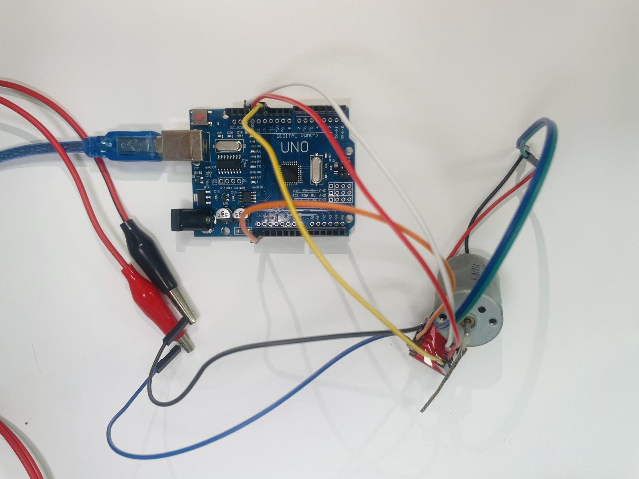 Physical Wiring Diagram scaled